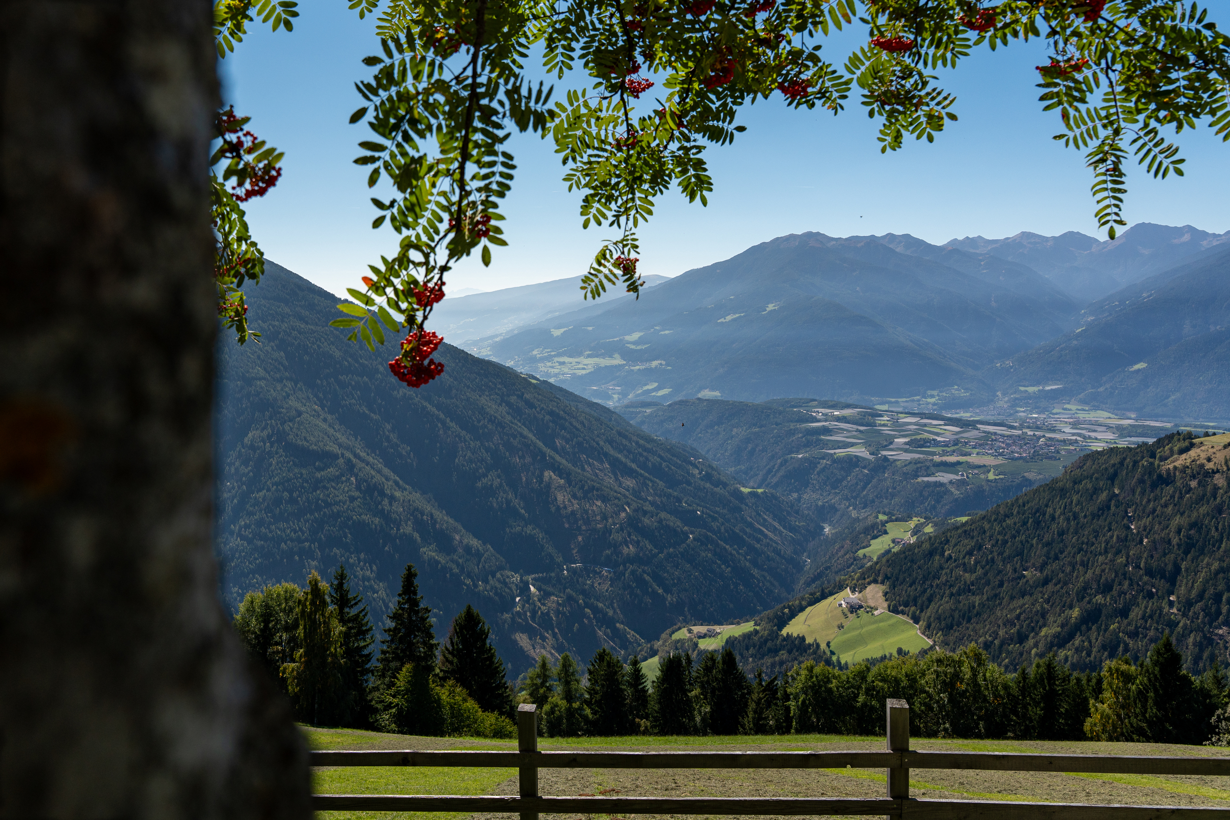Header1