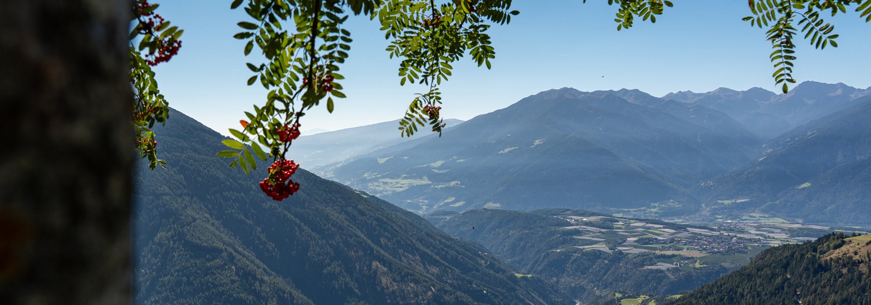 Ideal für Familien, Sportler und Natur-Liebhaber